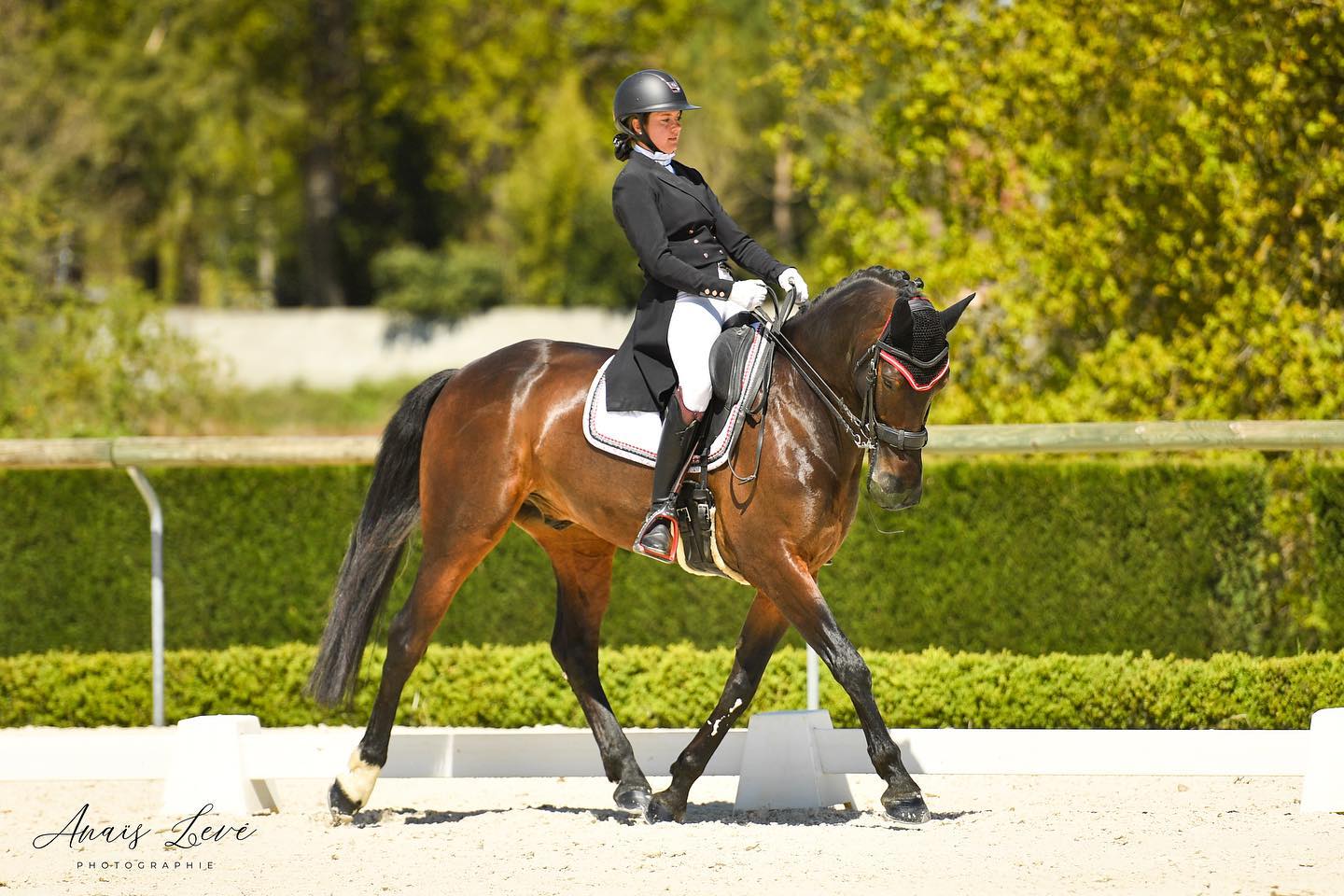 cavaliere sur cheval
