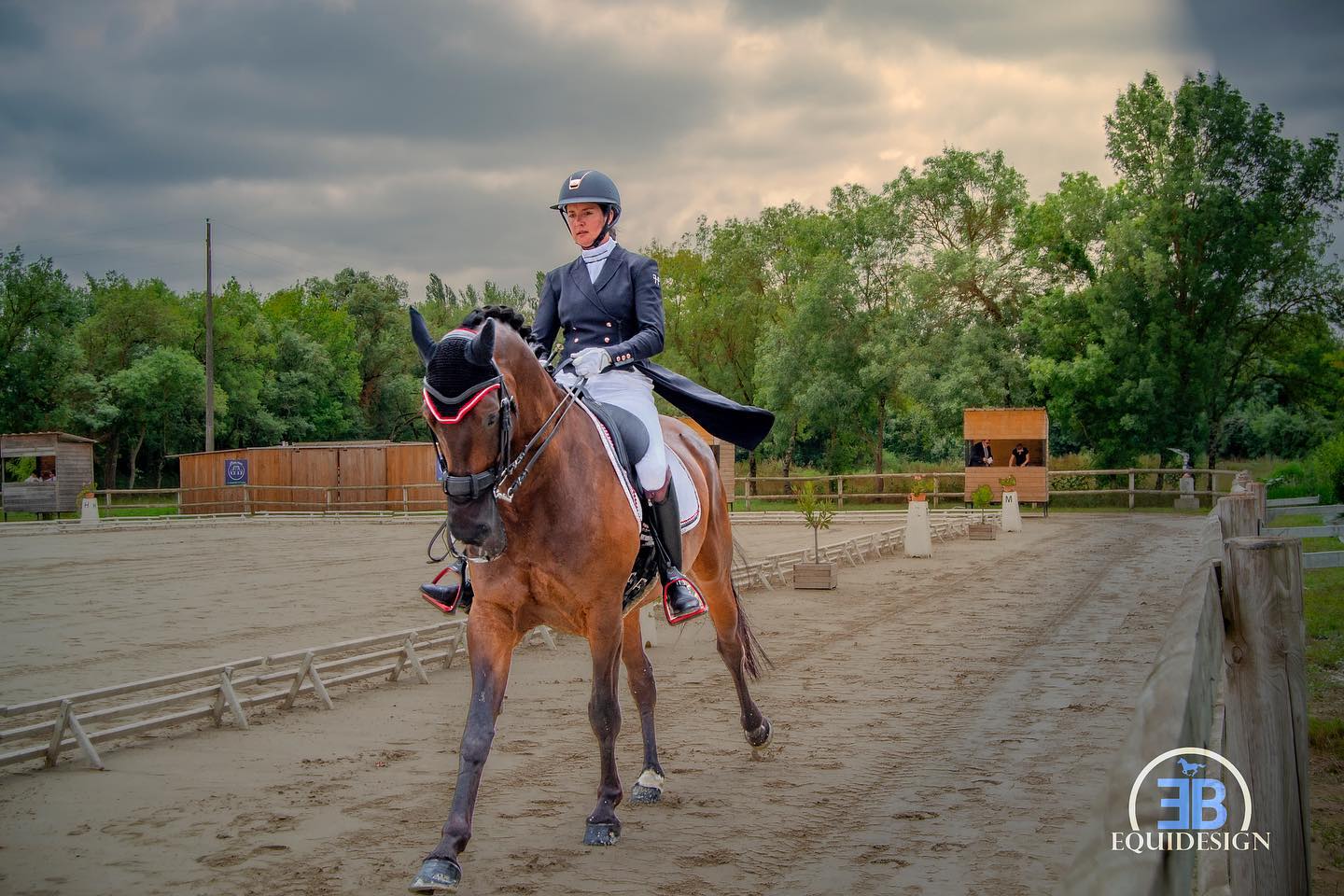 equitation
